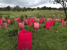 Load image into Gallery viewer, XLarge - Double Arbor Stacker Guard 1200 - 1500 - 1800