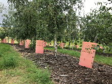 Load image into Gallery viewer, XLarge - Double Arbor Stacker Guard 1200 - 1500 - 1800