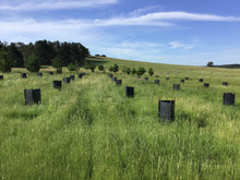 Load image into Gallery viewer, XLarge - Double Arbor Stacker Guard 1200 - 1500 - 1800