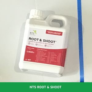 Root and Shoot