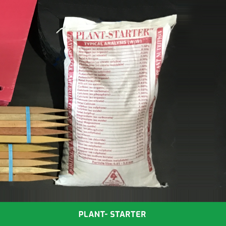 PLANT-Starter